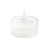 Clearance Casafina Living 12" Glass Dome