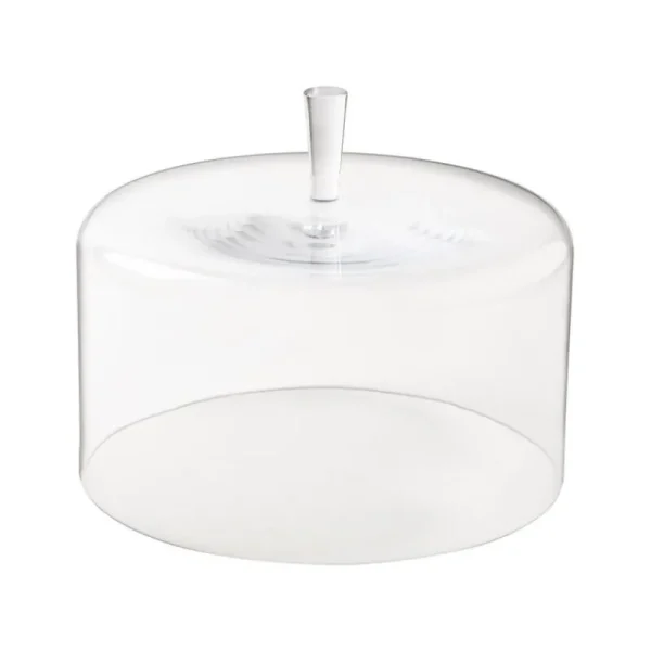 Hot Casafina Living 10" Glass Dome